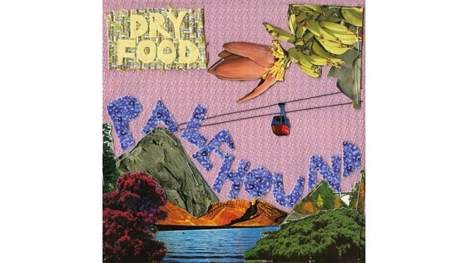 Palehound: <i>Dry Food</i> Review