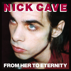 nick-cave-fhte.jpg