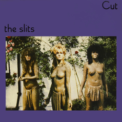 the-slits-cut.jpg