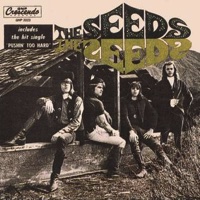 seeds-st.jpg