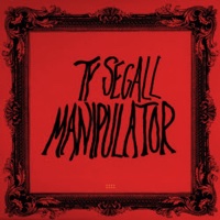 ty-segall-manipulator.jpg