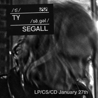 ty-segall-st.jpg