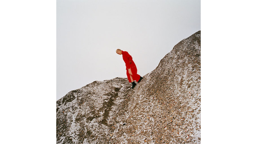 Cate Le Bon: <i>Reward</i> Review
