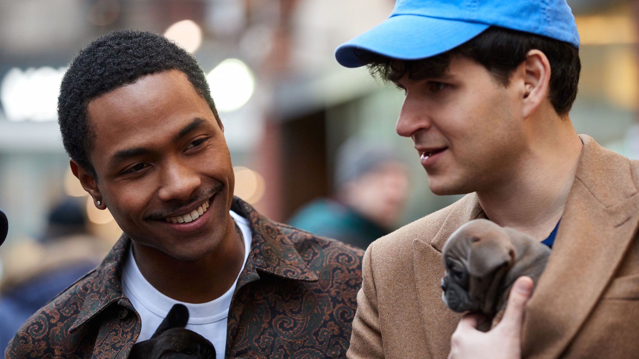 A Definitive Ranking of the Very Best Moments in Vampire Weekend&#8217;s <i>Father of the Bride</i>