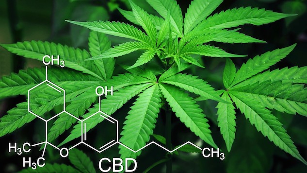 I Drank All the CBD (So You Don&#8217;t Have To)
