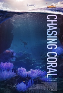 Chasing-coral.jpg