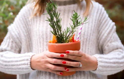 potted-plant-cocktail.jpg