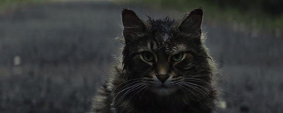 pet-sematary-2019-new.jpg