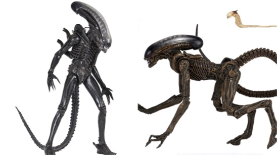 Aliens-pic.jpg