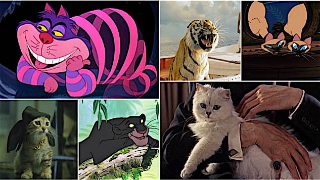 Meow Mix The 100 Most Iconic Cats In Movies Paste