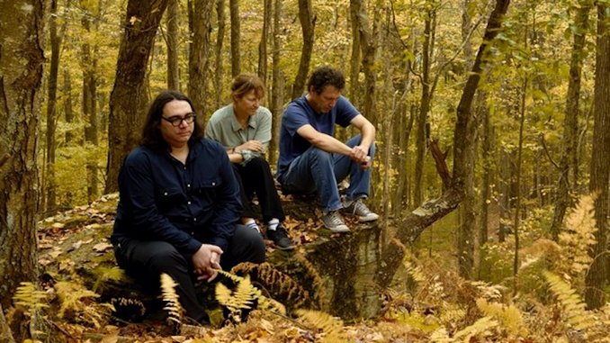 Yo La Tengo Announce <i>Sleepless Night</i> EP, Share Cover of The Byrds' "Wasn't Born To Follow"