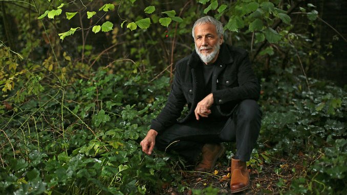 Watch Yusuf / Cat Stevens Play "Wild World" on <i>The Late Show With Stephen Colbert</i>