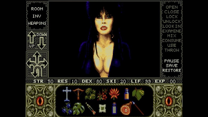 crpg_elvira.JPG