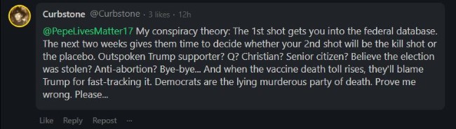 qanon-vaccine-kill-shots.JPG