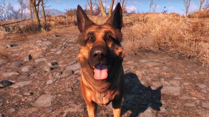 The Real-Life Dogmeat from Fallout 4 Has Passed Away - Paste