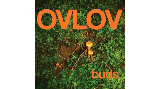 Fuzz-Pop Cult Faves Ovlov Scale Back the Squall a Bit on <i>Buds</i>