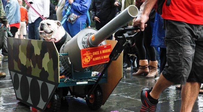 krewe_barkus_getty.jpg