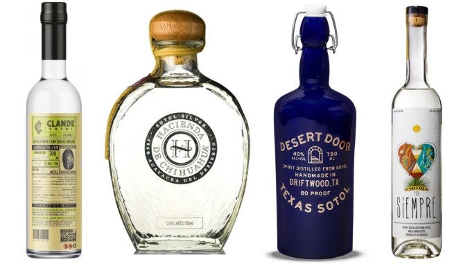 Cocktail Queries: What Is Sotol, and How Is It Different from Tequila and Mezcal?