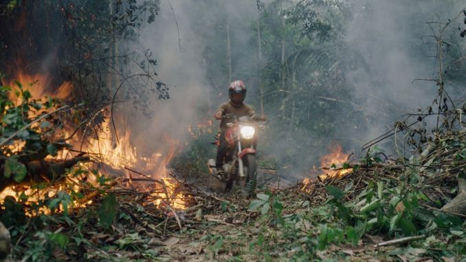 Essential Environmental Doc <i>The Territory</i> Platforms the Plight of Indigenous Brazilians