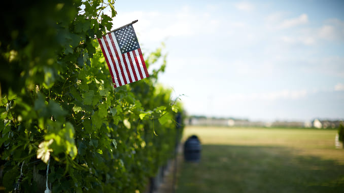 Who Is Welcome at Cape May Wineries?