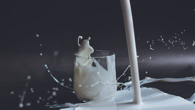 Milk: How a Household Staple Became the Most Controversial Drink of the 21st Century