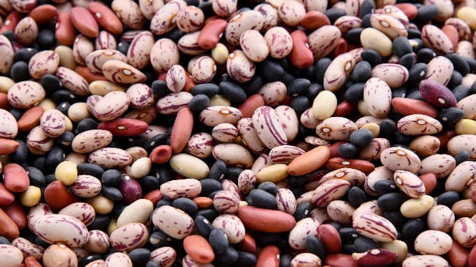 The Best Fall Bean Recipes
