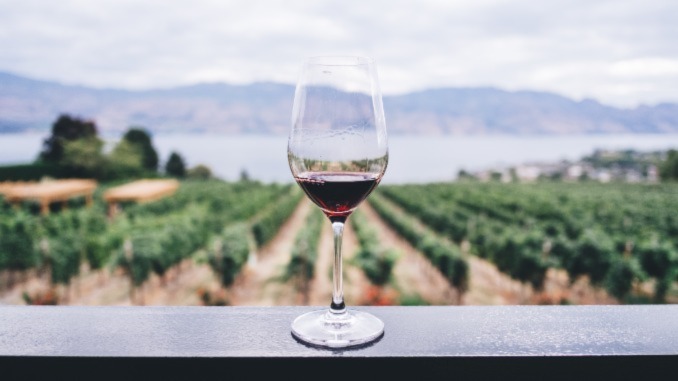 Wine Trends We&#8217;re Excited for in 2023