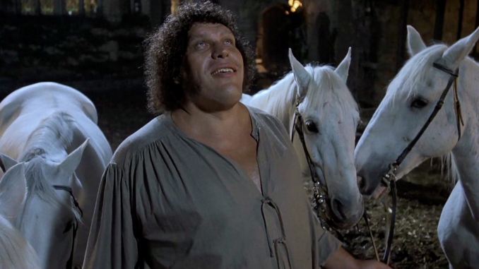 The Best Movies Featuring Wrestlers