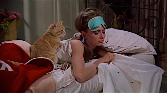 22-Breakfast-at-Tiffanys-Cat-100-Best-Cats.jpg