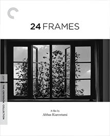 24-frames-criterion.jpg