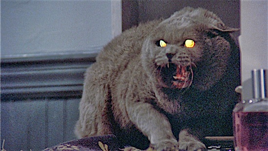 29-Pet-Sematary-Church-100-Best-Cats.jpg