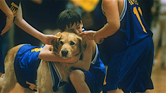 31_Air_Bud_Buddy.jpg