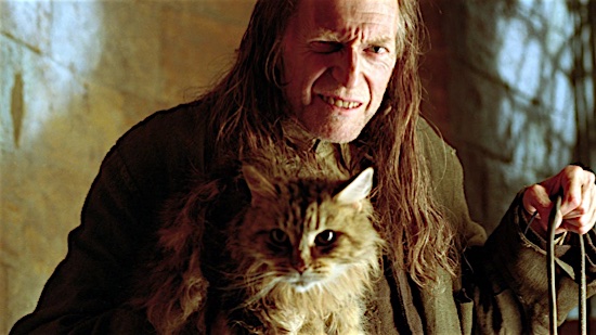 61-Harry-Potter-Mrs-Norris-100-Best-Cats.jpg