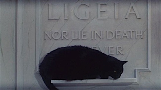 64-The-Tomb-of-Ligeia-Black-Cat-100-Best-Cats.jpg