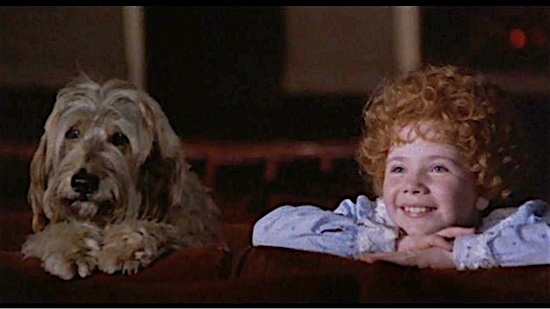 The 10 Best Movie Dogs Ever: Where Do Toto, Dug And Marley