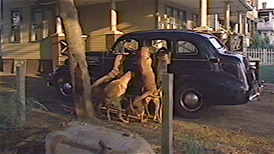 93_A_Christmas_Story_Bumpus_Hounds.jpg