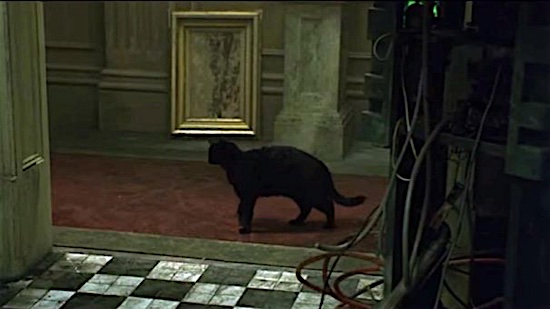 The 25 most iconic movie cats