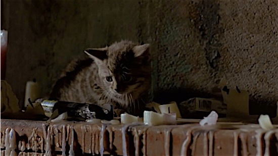 33 cutest anime cats: most popular kitties from films and shows 