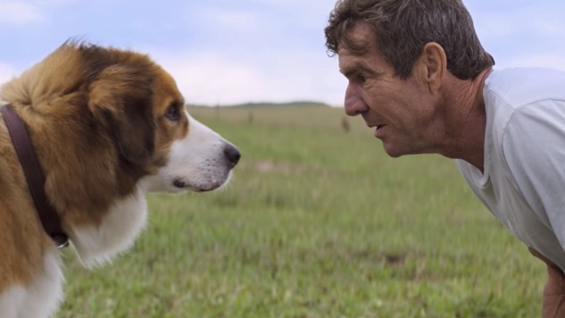 Thanks to Massive Success in China, <i>A Dog's Purpose</i> Is Reportedly Getting a Sequel