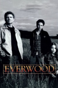 BEST-HIGH-SCHOOL-SHOWS-everwood.jpg