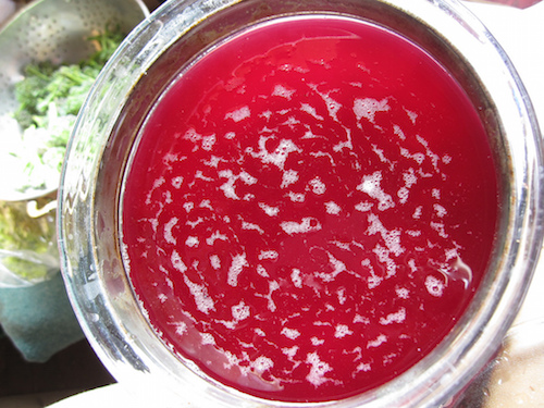 Beet-Kvass.jpg