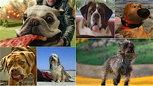 Best in Shows: The 100 Most Iconic Dogs in Movies