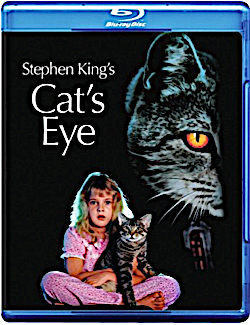 Cats-eye-gift-guide.jpg