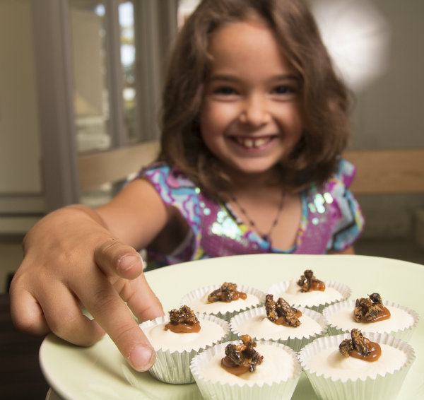 Cricket flour cheesecake.jpg