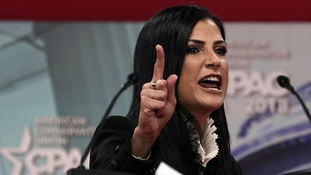 NRA Spokesperson Dana Loesch Begged a Producer to Star in Sitcom as "Hot Young Mom Who Does Far-Right Radio"