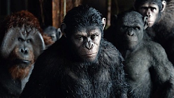 <i>Dawn of the Planet of the Apes</i>