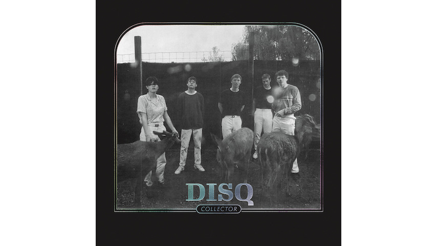 Disq&#8217;s Eccentric Guitars and Millennial Angst Charm on <i>Collector</i>