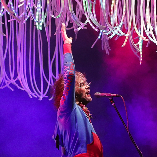 neil and the flaming lips