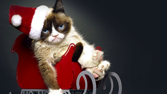<i>Grumpy Cat's Worst Christmas Ever</i> Review