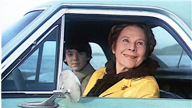 Harold and maude quotes